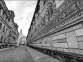 web_IMG_2-1735_-2_-3_fused bw