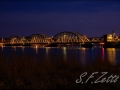Vildsund