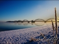 Vildsund