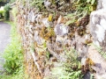 web_6d-1612