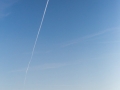 web_6d-2737