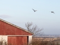 web_6d-5622-2