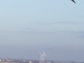 web_6d-5625-2