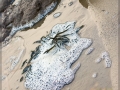 web_CRW_3636