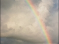 web_CRW_5872