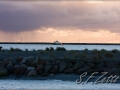 web_IMG_1-2253