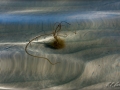 web_IMG_1-8616