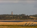 web_IMG_1-9349
