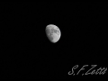 Mond