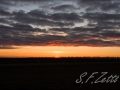 web_IMG_1472