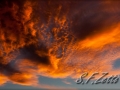 web_IMG_2-2795
