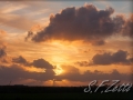 web_IMG_2-3124