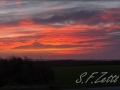 web_IMG_2-3636