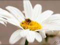 web_IMG_2-7472