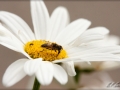 web_IMG_2-7478