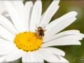 web_IMG_2-7481