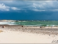 web_IMG_2-7792