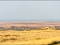 web_IMG_2-9964