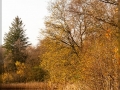 web_IMG_3-0018