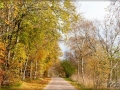 web_IMG_3-0031