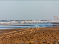 web_IMG_3-0615