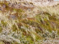web_IMG_3-2900