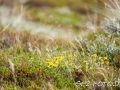 web_IMG_3-2905