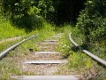 web_IMG_3690