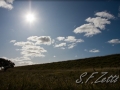 web_IMG_6148