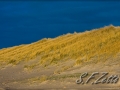 web_IMG_7434