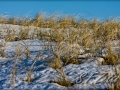 web_IMG_8524