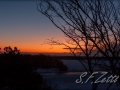 web_img_1-9417