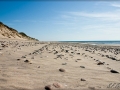 web_web_CRW_4716
