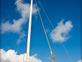 web_web_CRW_5418