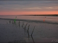 web_web_IMG_0632