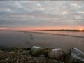 web_web_IMG_0637