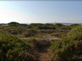 web_IMG_1-0998