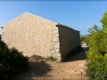 web_IMG_1-0999