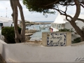 web_IMG_1-1033