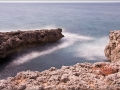 web_IMG_1-1062