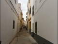 web_IMG_1-1637