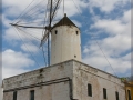 web_IMG_1-1663