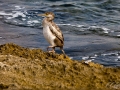 web_IMG_1-2078 Kopie