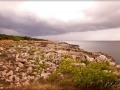 web_IMG_1-2093 Kopie