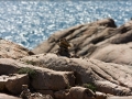 web_IMG_1-4897