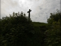 web_IMG_1-5229