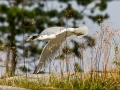 web_IMG_1-5375