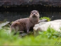 web_IMG_2-0059