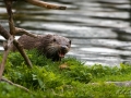web_IMG_2-0084