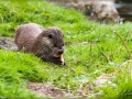 web_IMG_2-0088